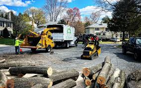 Best Commercial Tree Services  in Medford Lakes, NJ